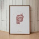 The Oral Cavity anatomy chart for clinics