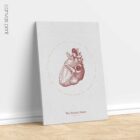 The Heart anatomy chart for clinics