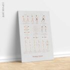 The Posture Poster
