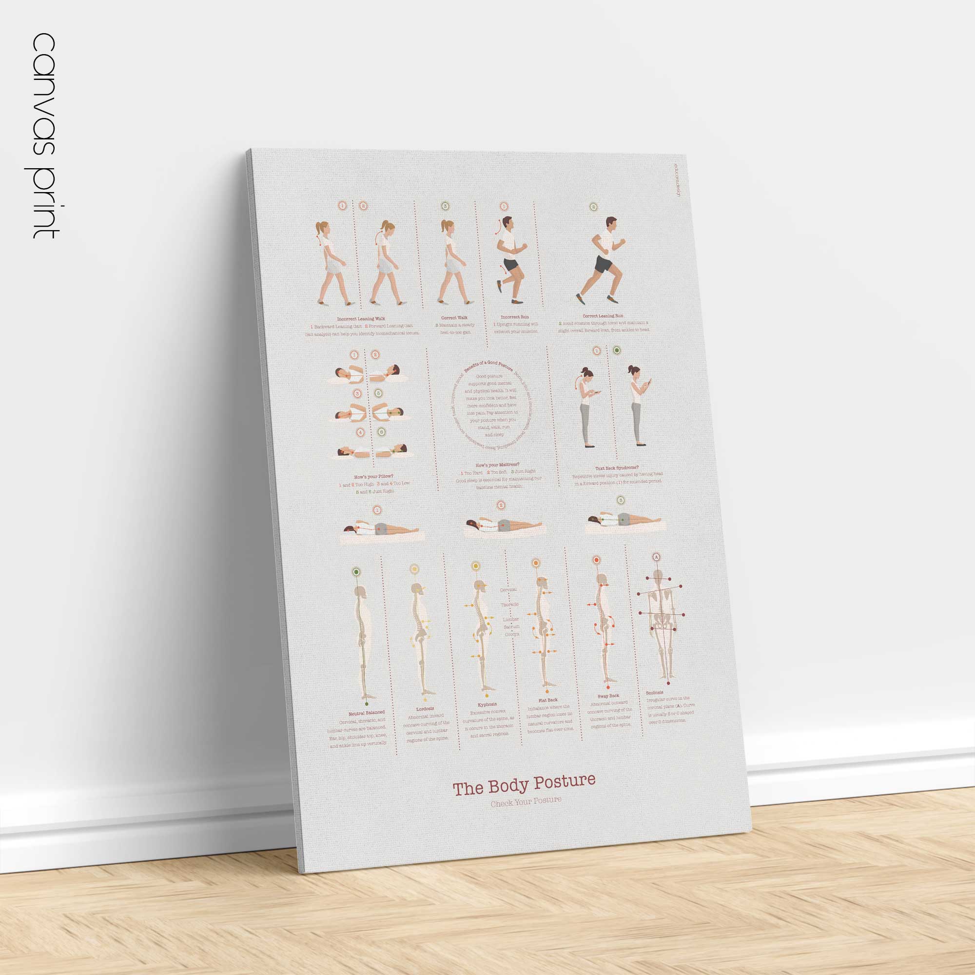 The Posture Poster