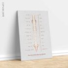 The Autonomic Nervous System