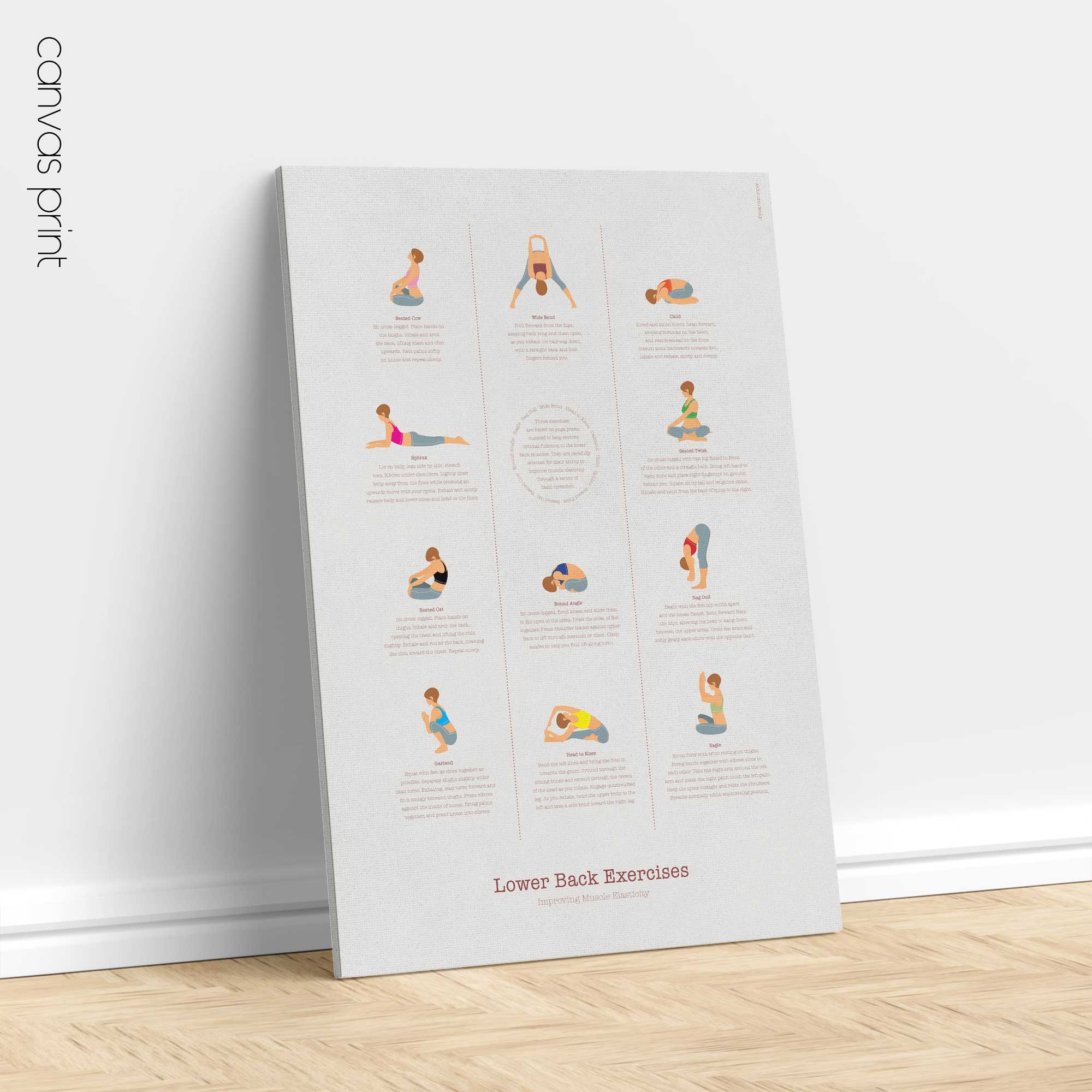 The Lower Back Exercises