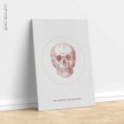 The Anterior Cranial Bones Vintage Artwork
