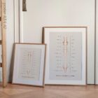 The Autonomic Nervous System