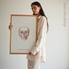 The Anterior Cranial Bones Vintage Artwork