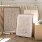 The Autonomic Nervous System