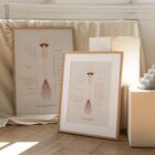 The Spinal Nerves Chart