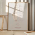 Gonstead Listings Set anatomy chart for clinics