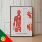 O Conjunto de Pontos-Gatilho Miofasciais diagrama anatómico para clínicas e consultórios
