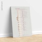 Gonstead Listings Set anatomy chart for clinics