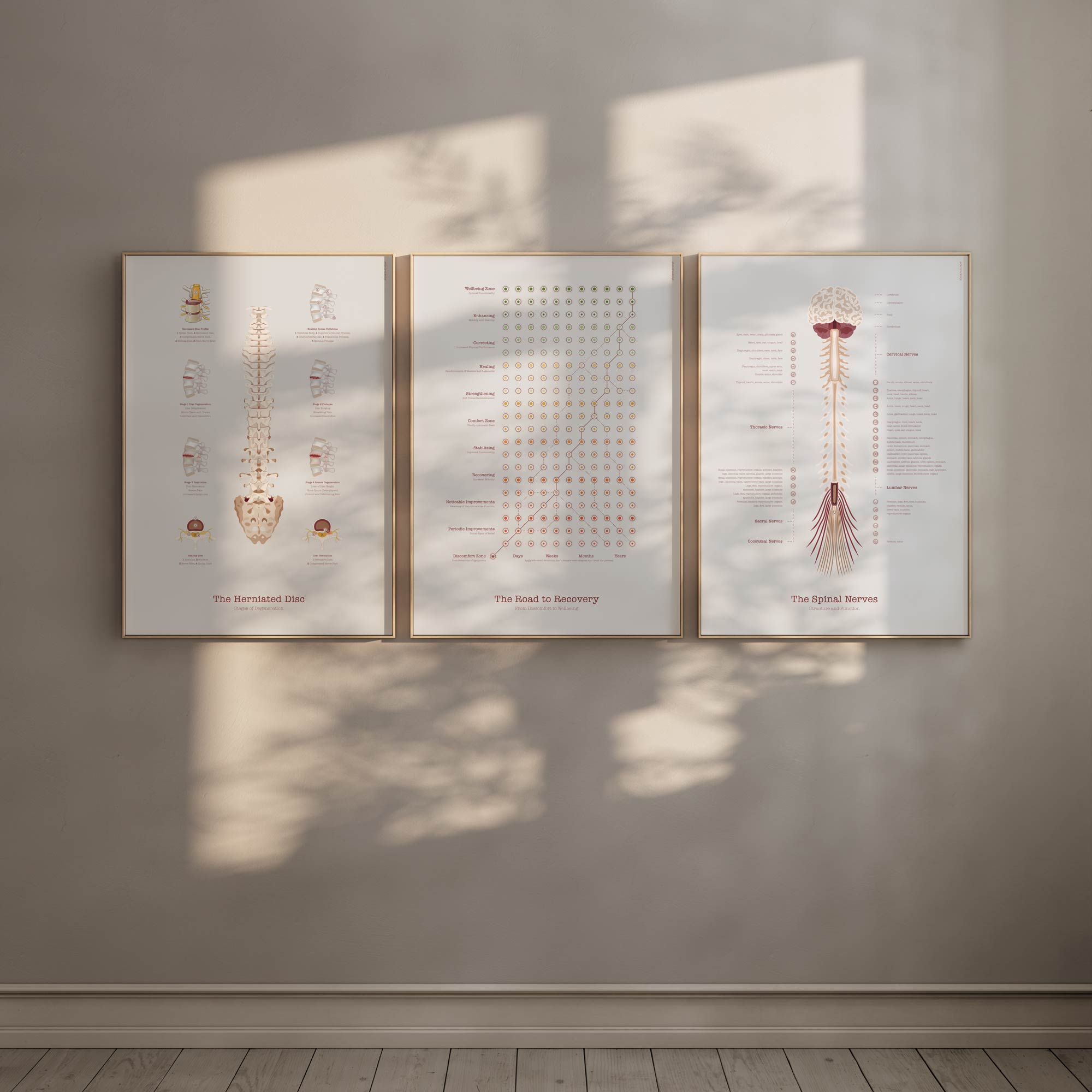 The Road to Recovery