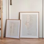 Gonstead Listings Set anatomy chart for clinics