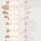 Gonstead Listings Set anatomy chart for clinics
