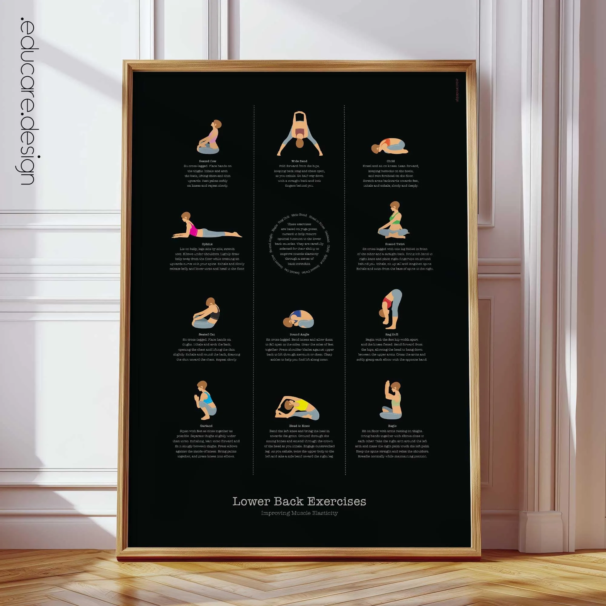 Muscle Groups anatomy chart for clinics Muscle Groups anatomy chart for clinics