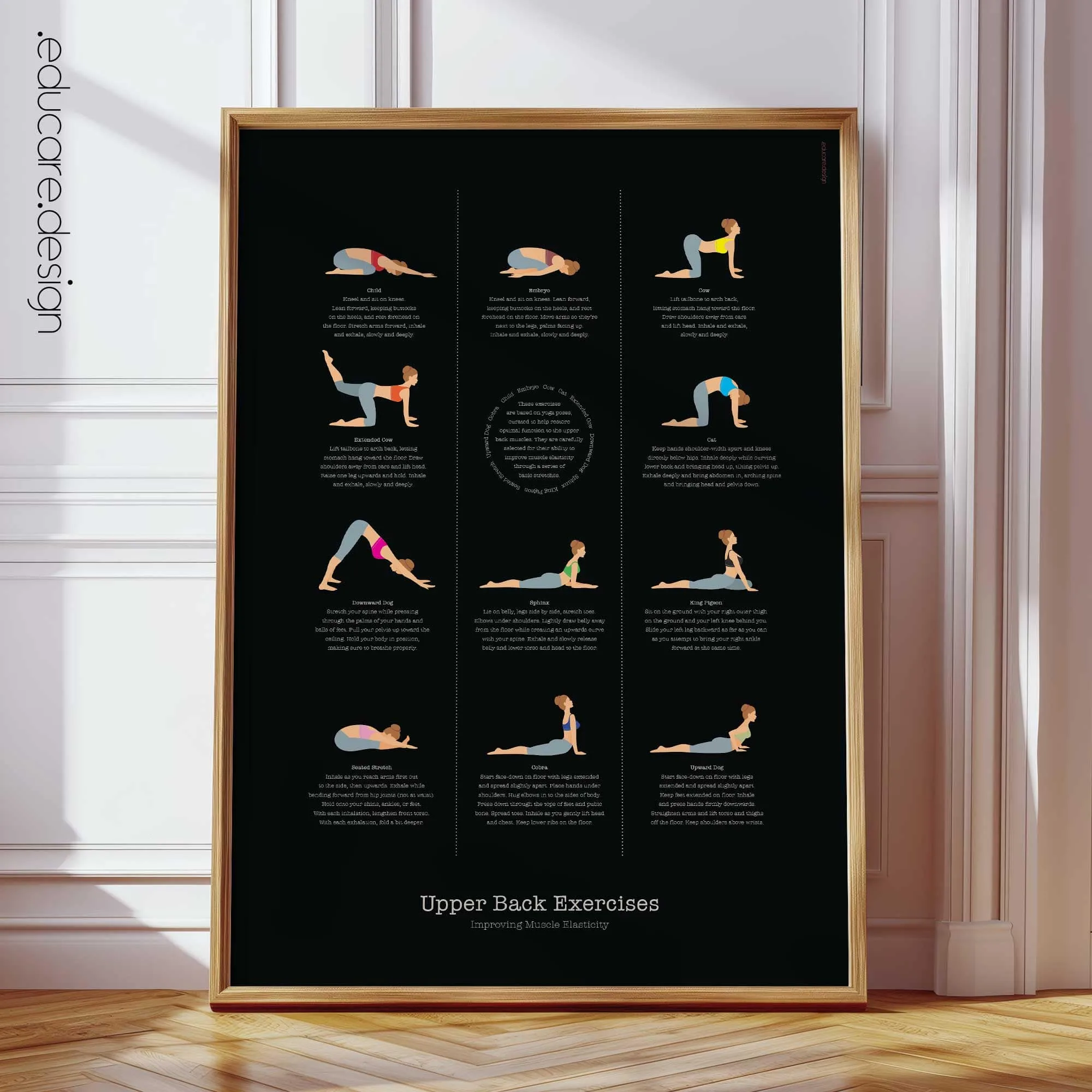 Muscle Groups anatomy chart for clinics Muscle Groups anatomy chart for clinics