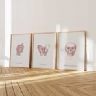 The Vintage Anatomy Artwork