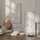 Minimalistic Anatomy Artwork from www.educare.design