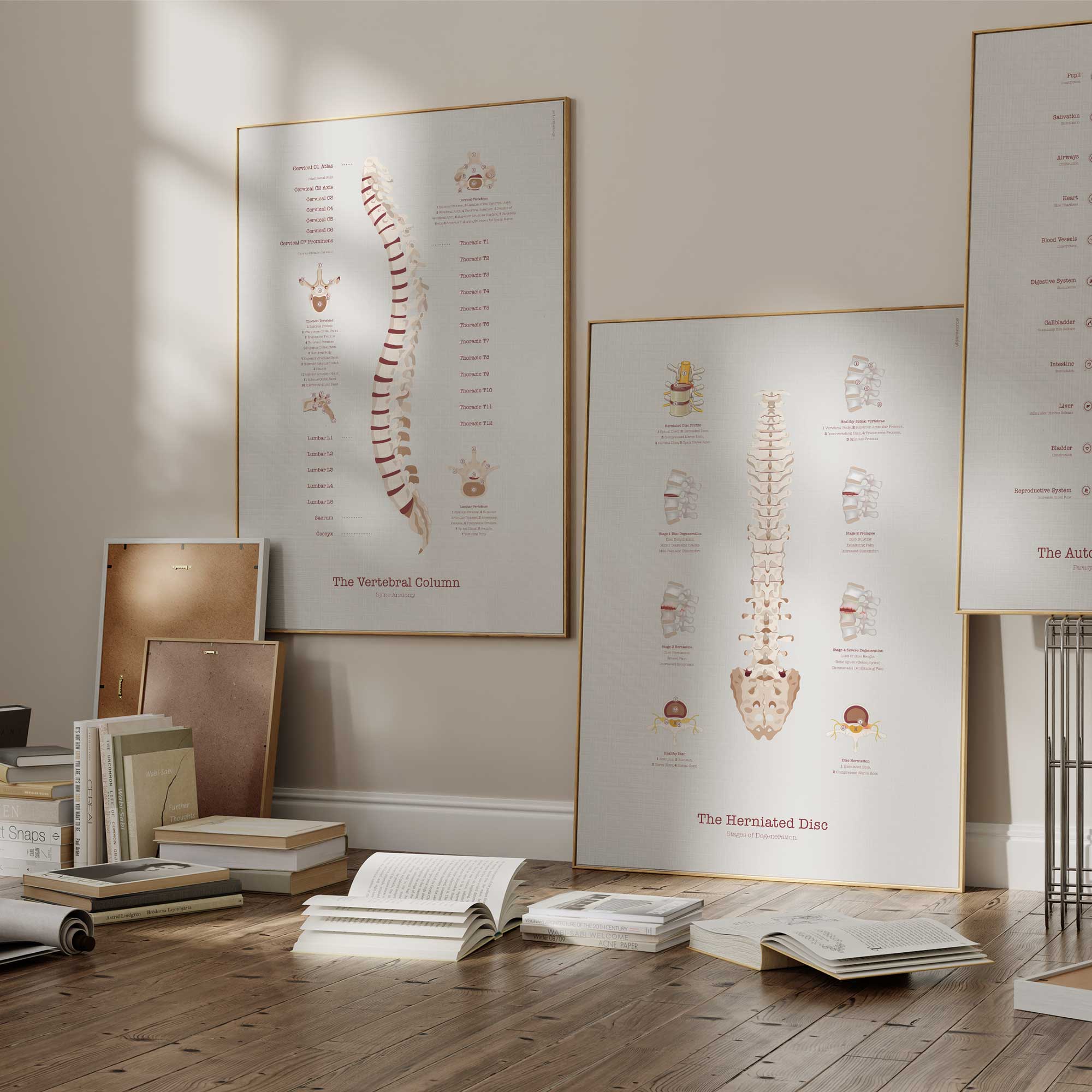 Minimalistic Anatomy Artwork from www.educare.design