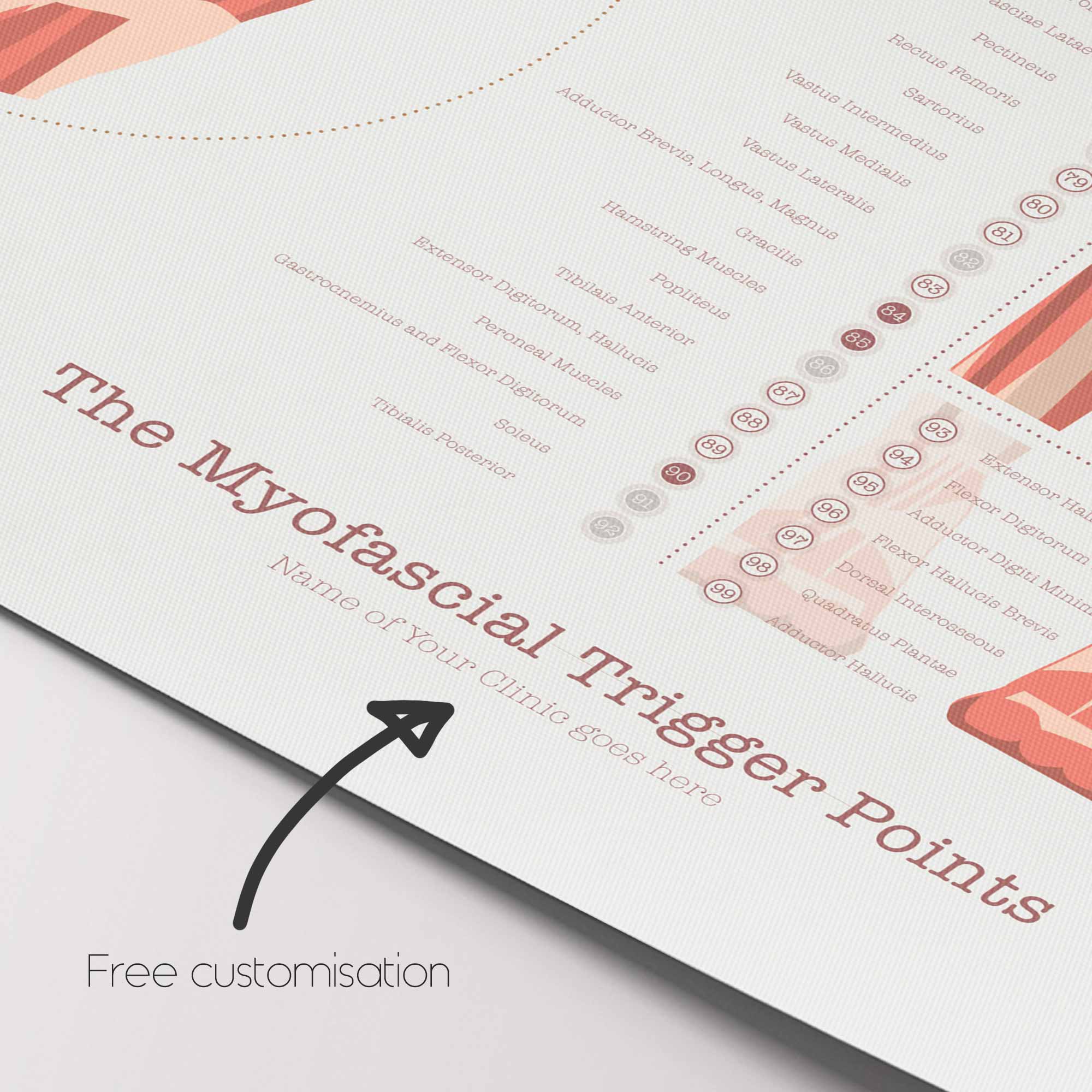 The Myofascial Trigger Points Set