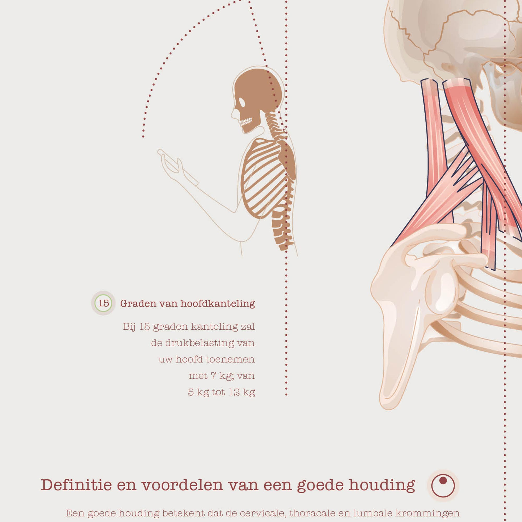 De Voorwaartse Hoofdhouding