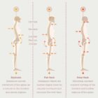 The Posture Poster