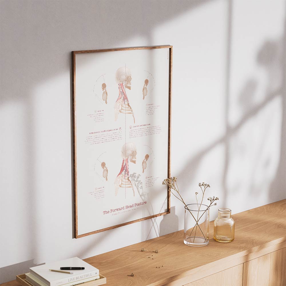 english the forward head posture main – Premium Anatomy Chart by educare.design