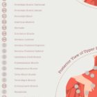 The Myofascial Trigger Points Set anatomy chart for clinics