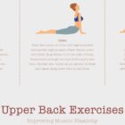 Esercizi per la parte alta della schiena