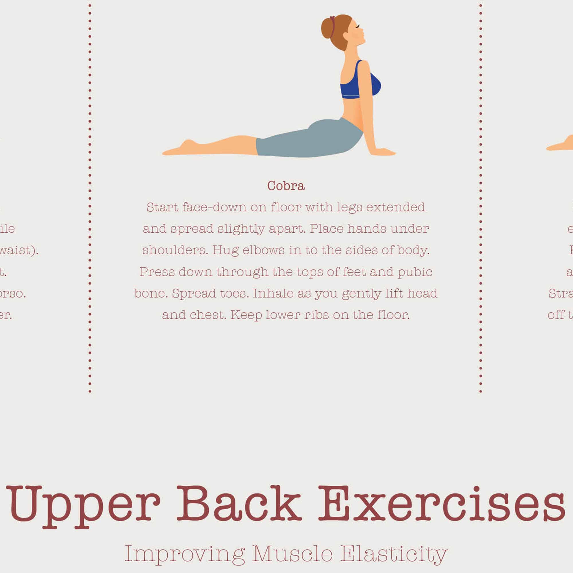 Esercizi per la parte alta della schiena