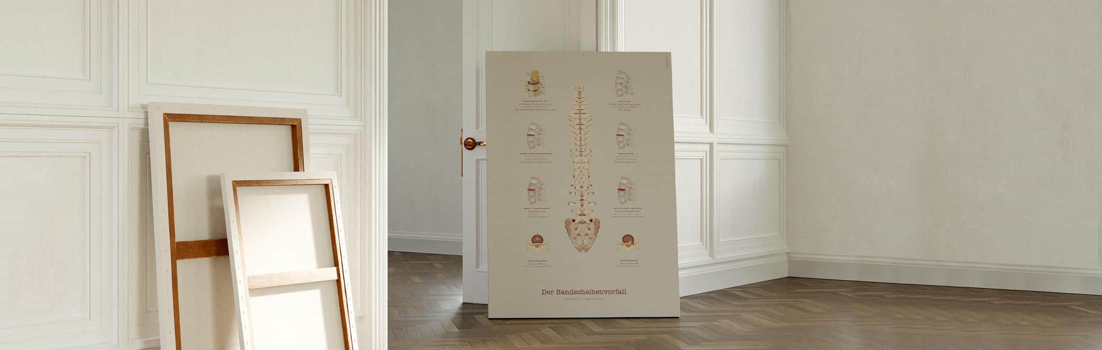 Der Bandscheibenvorfall