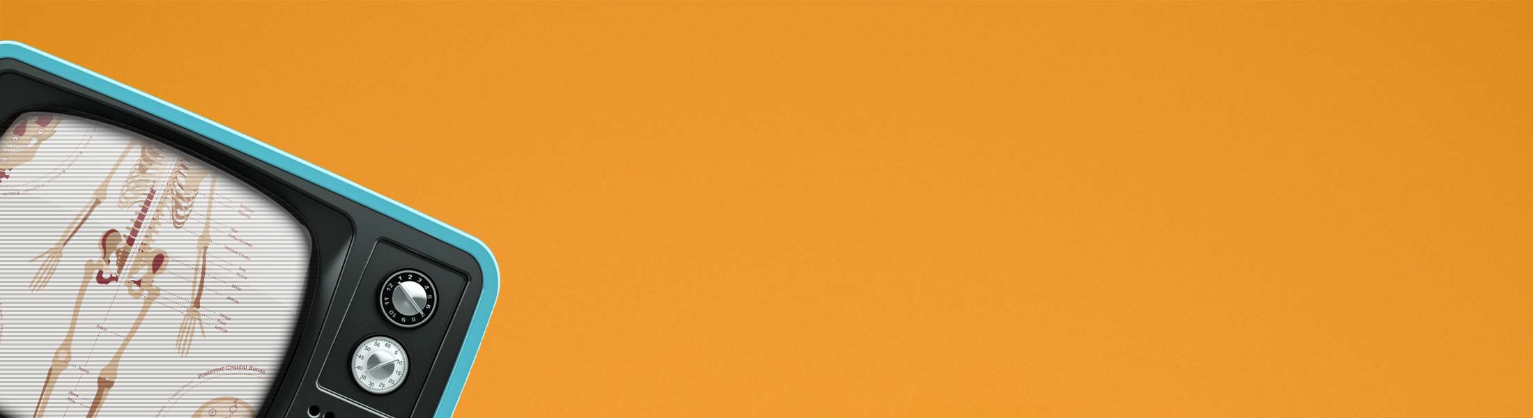 El Sistema Esquelético