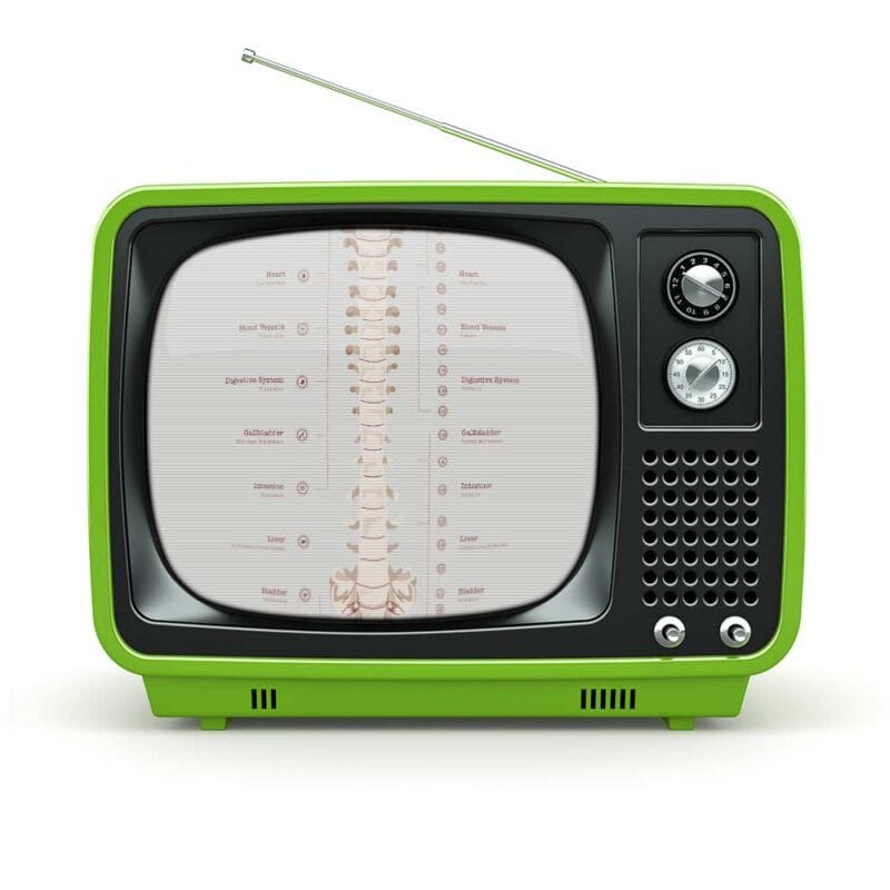 The Autonomic Nervous System