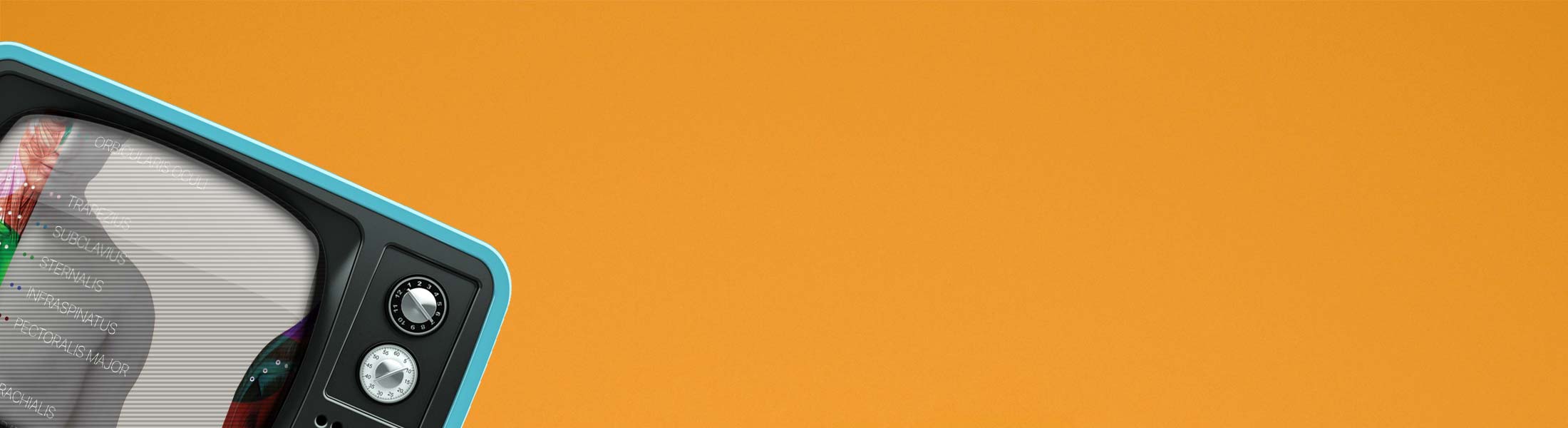 Myofascial Trigger Points Chart