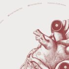 The Heart anatomy chart for clinics