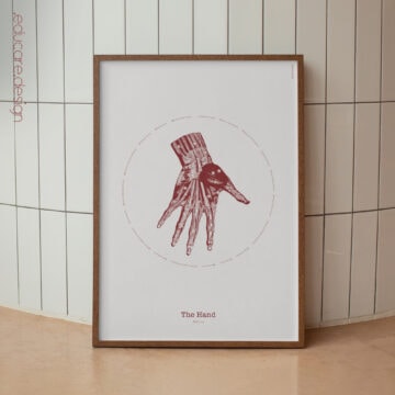 The Hand Vintage Anatomy Artwork