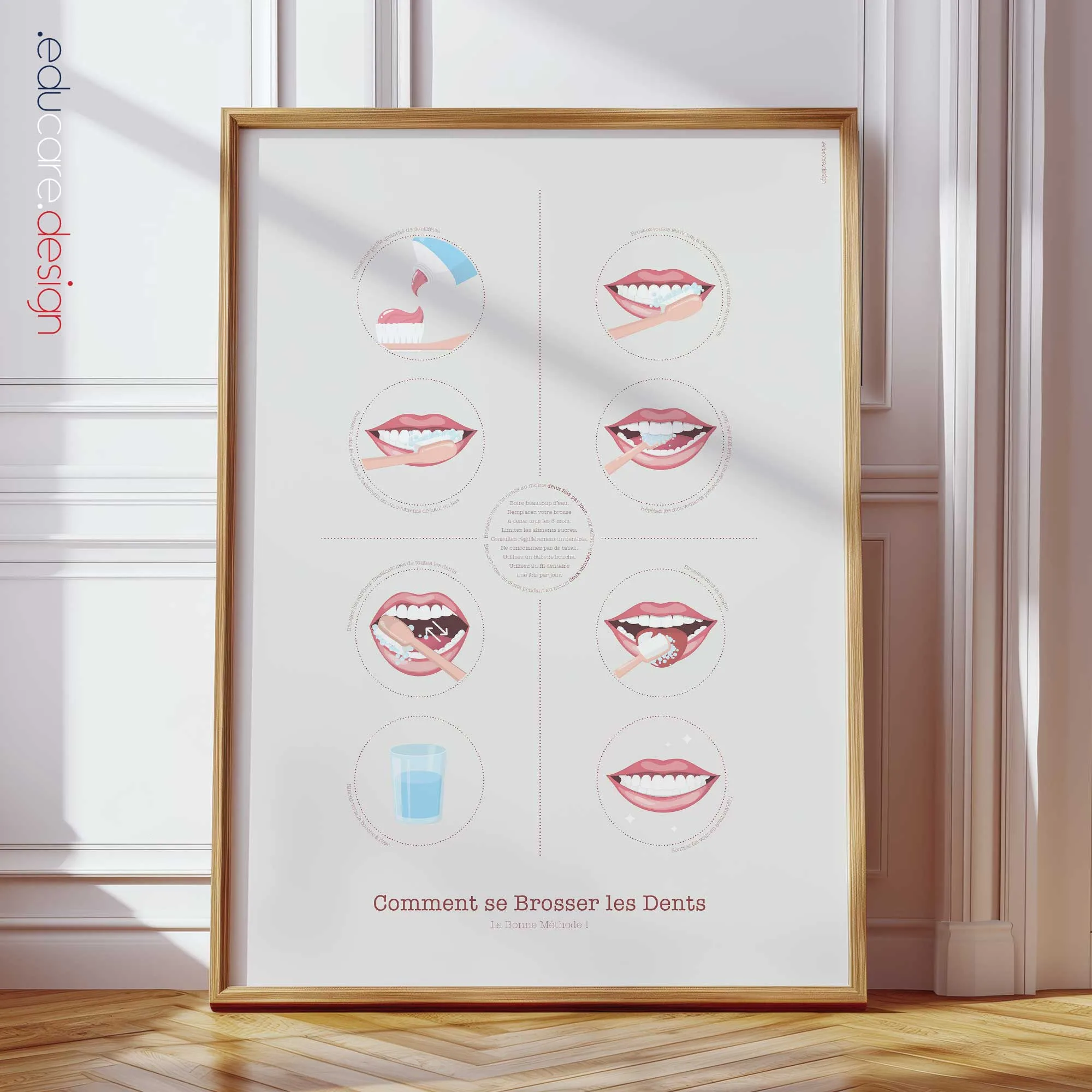Comment se Brosser les Dents planche anatomique pour cabinets et cliniques