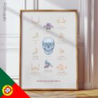 Jaw Anatomy & Palatine Process