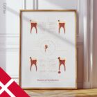 Stages of Tooth Decay