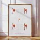 Stadien des Zahnverfalls