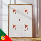 Stages of Tooth Decay