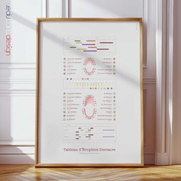Tableau d'Éruption Dentaire