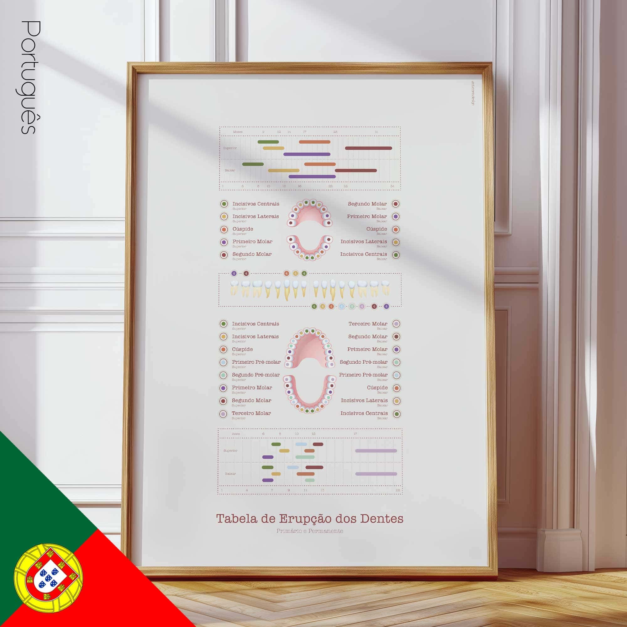 Teeth Eruption Chart