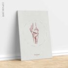 The Knee – educare.design The Knee Vintage Anatomy Artwork