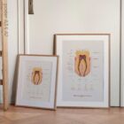 The Anatomy of a Tooth – educare.design Anatomia di un Dente