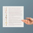 Back Exercises patient handout