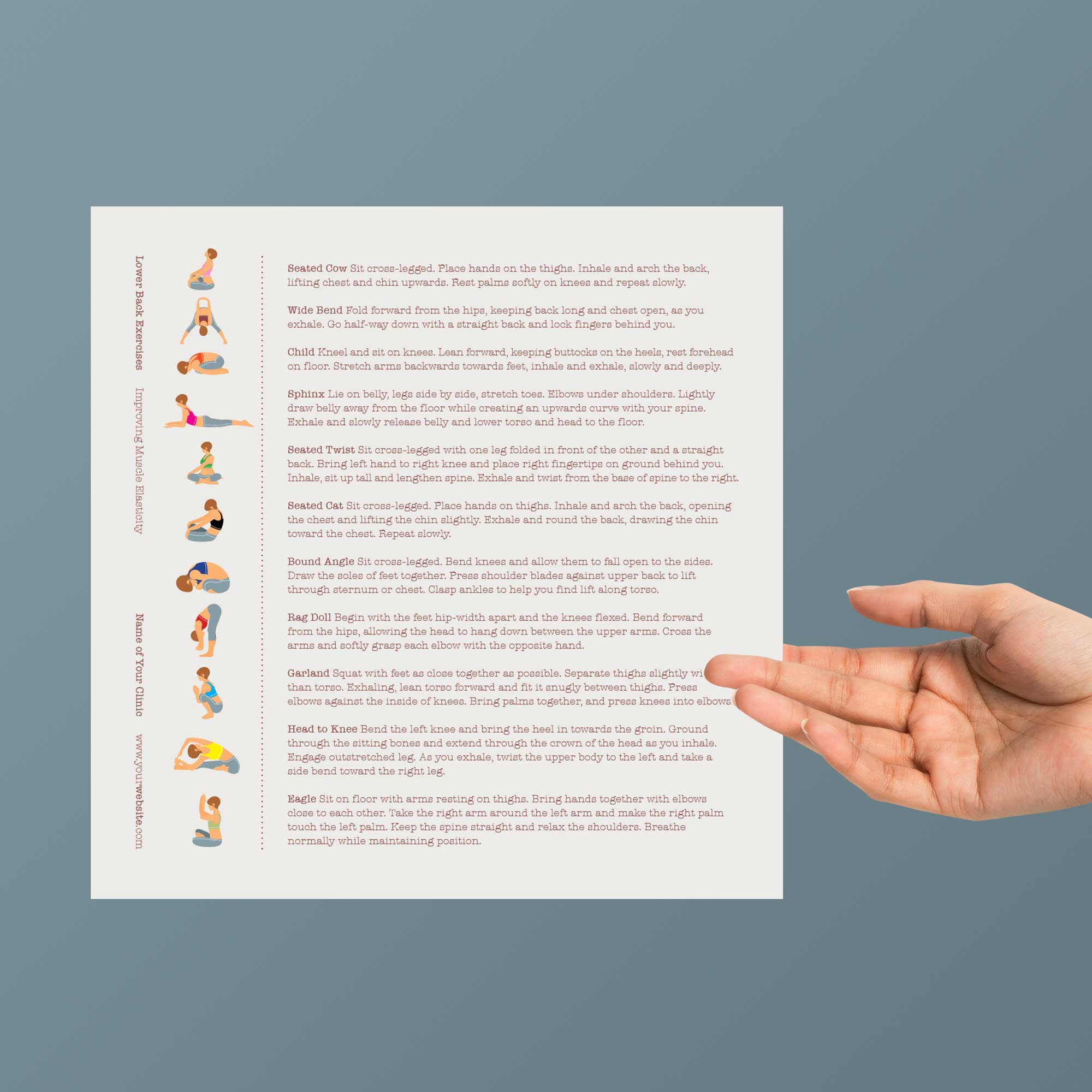 Back Exercises patient handout