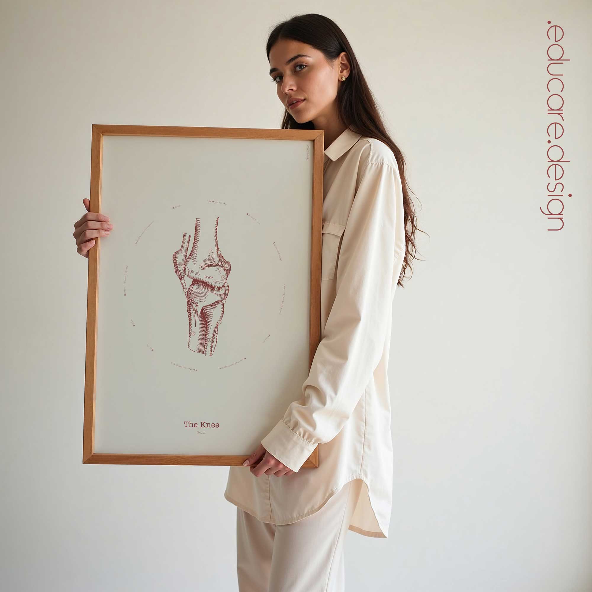 The Knee Vintage Anatomy Artwork