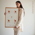 Stages of Tooth Decay