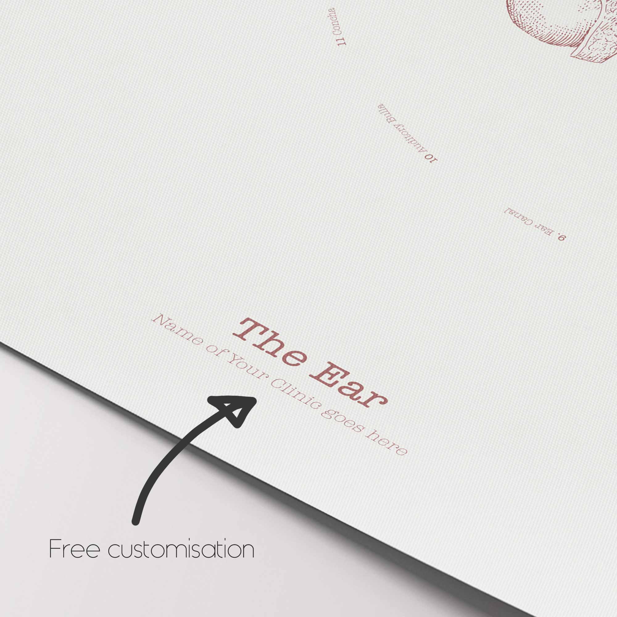 Bursitis, Arthritis, and Tendonitis