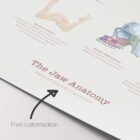 Jaw Anatomy & Palatine Process